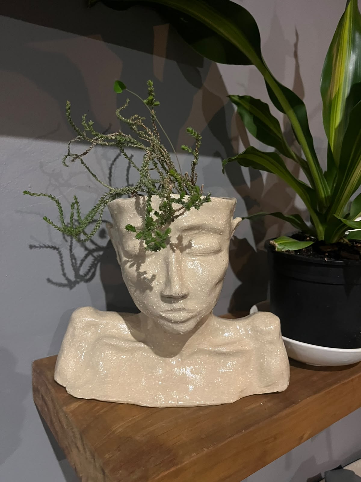 Pottery bust sculpture pot with Karoo plant for hair by Hanri - pottery class student