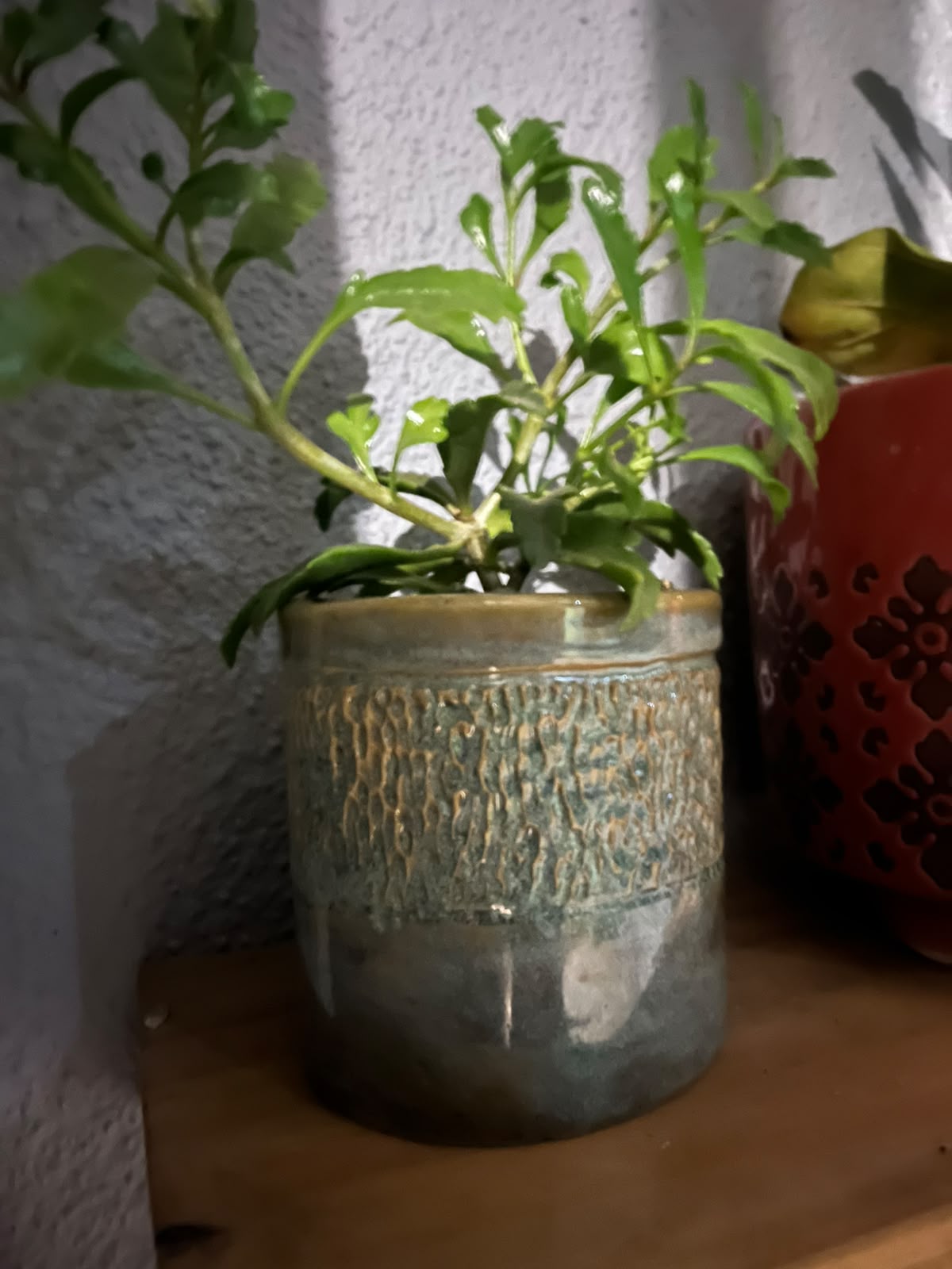 Slate green pot by Hanri - pottery class student
